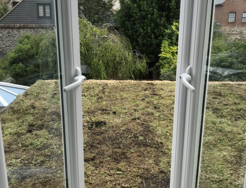 Have You Ever Considered Green Roofing?