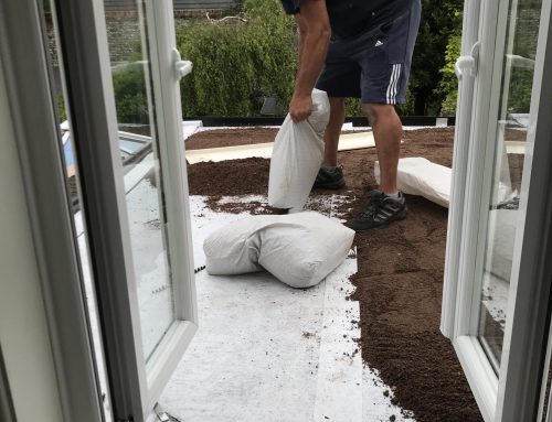 Green Roof Construction in Progress