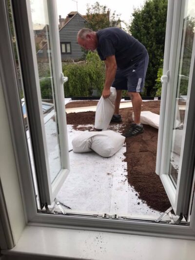 Constructing Green Roofing in Brighton