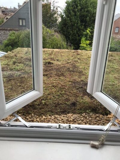 Brighton Green Roof Completed